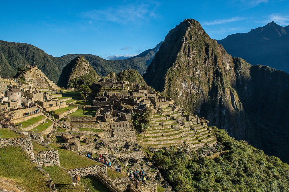 South America